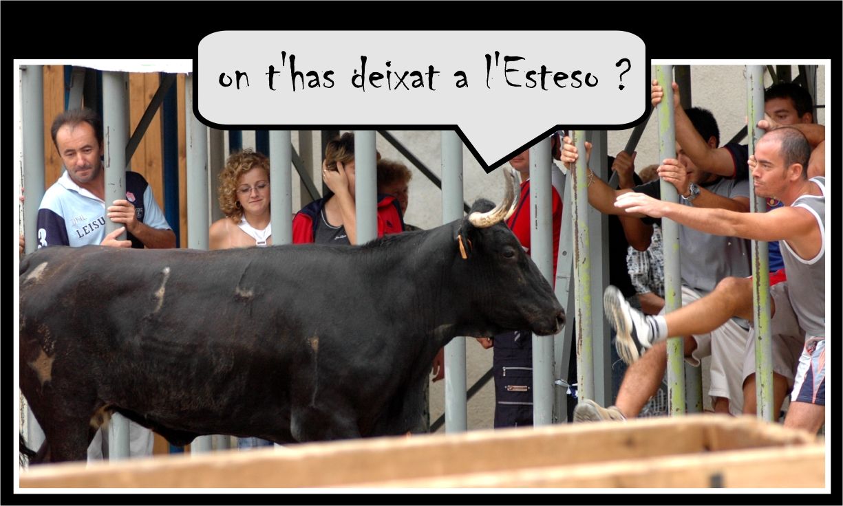 � Jaume Olivet 2005