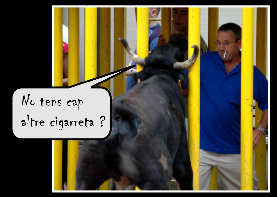 � Jaume Olivet 2005