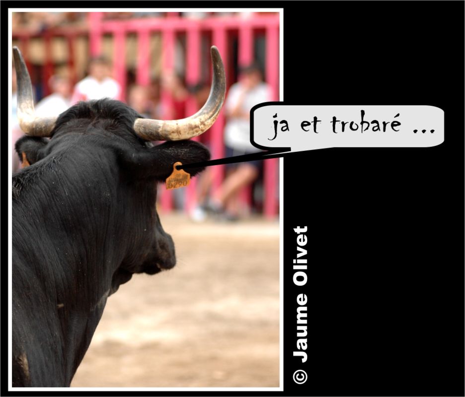 � Jaume Olivet 2005