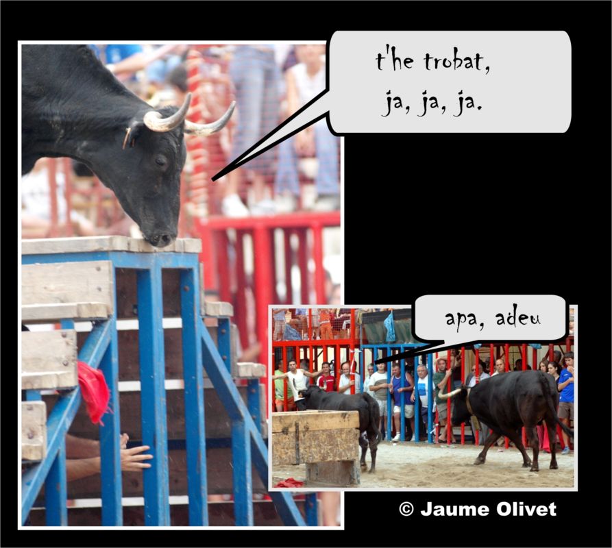 � Jaume Olivet 2005