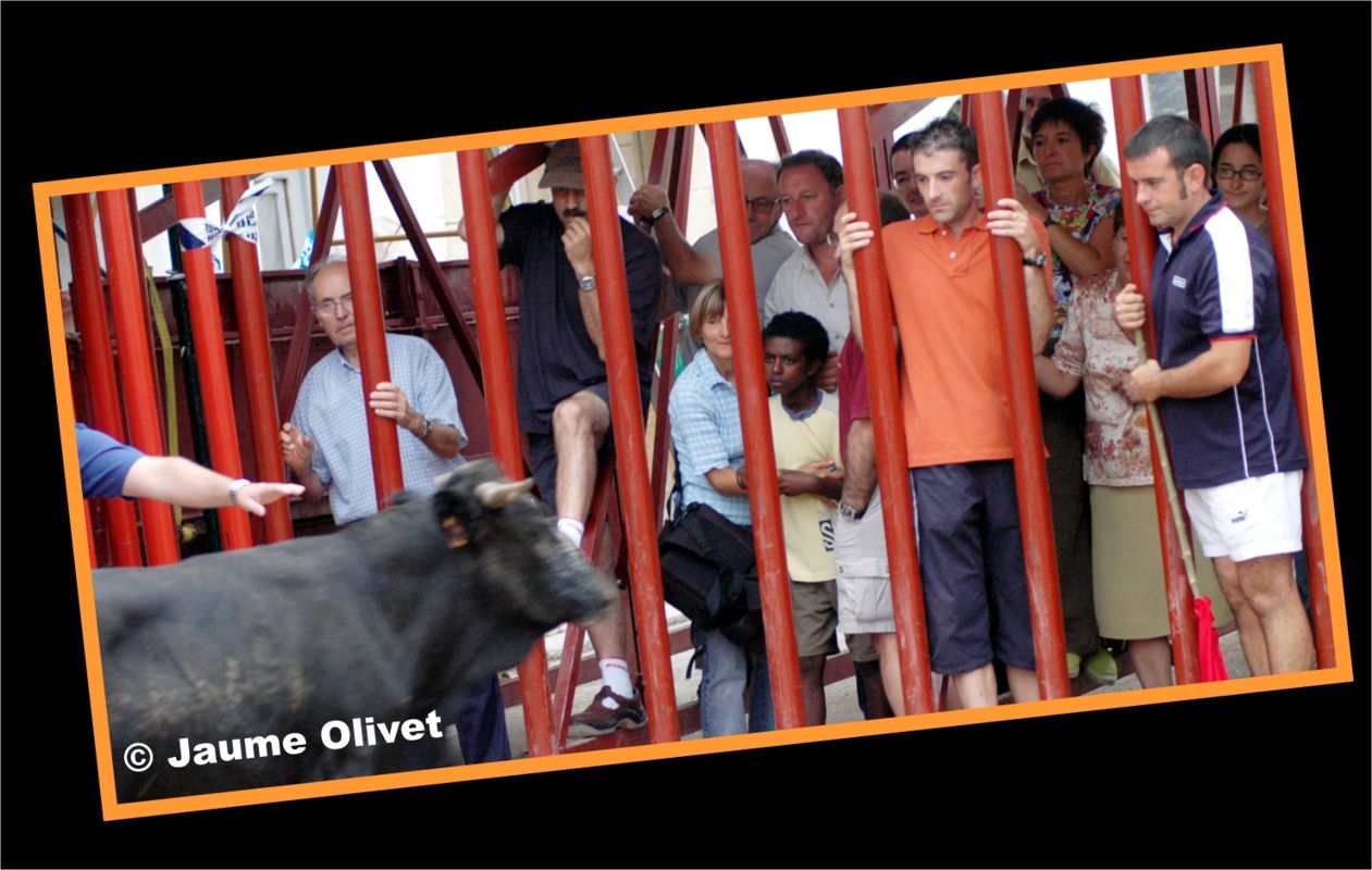 � Jaume Olivet 2005