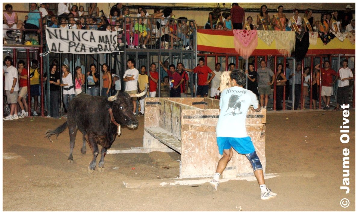 � Jaume Olivet 2005