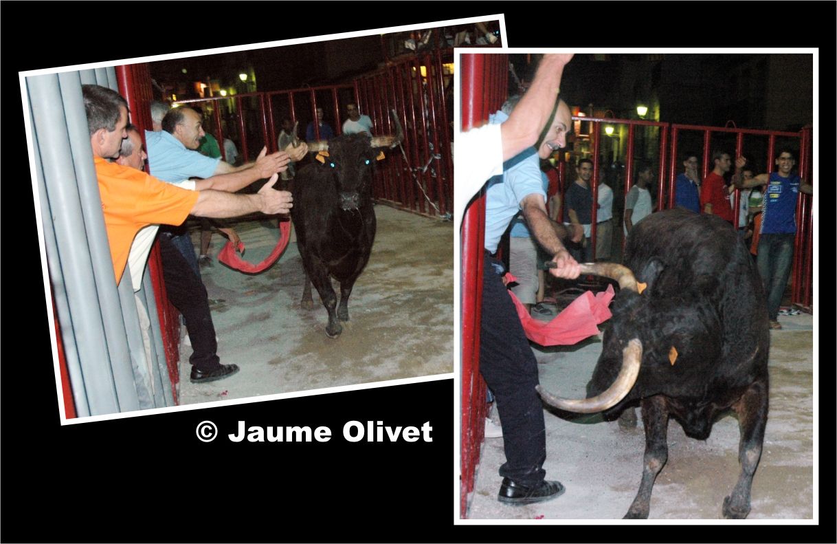 � Jaume Olivet 2005