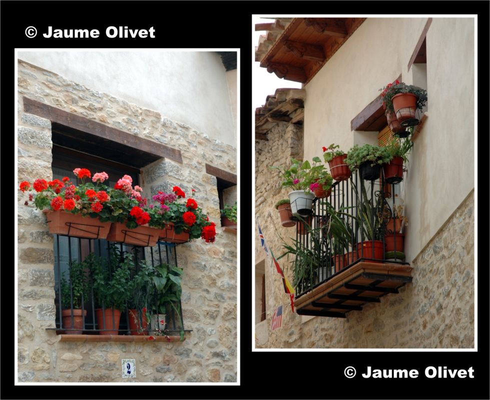 � Jaume Olivet