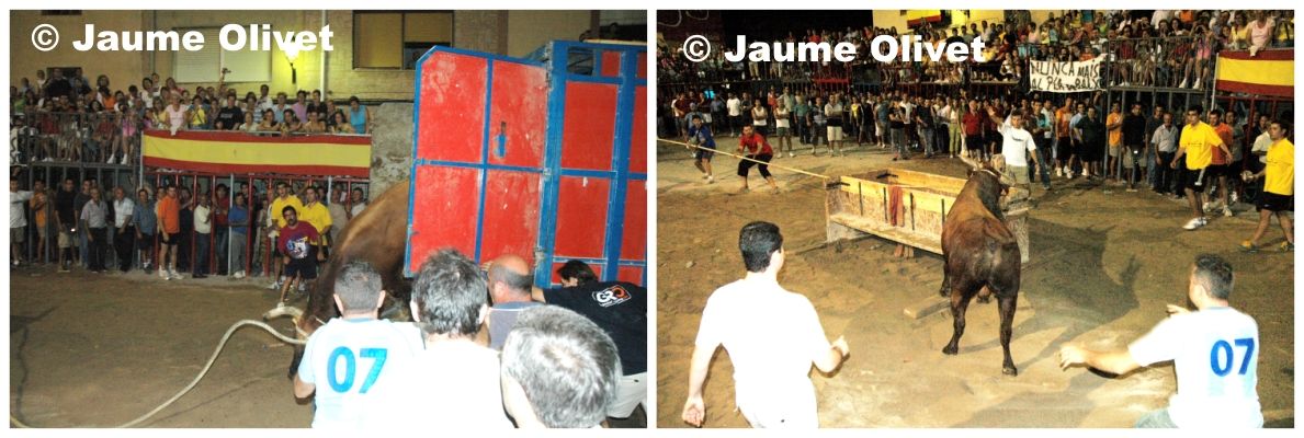 � Jaume Olivet 2005