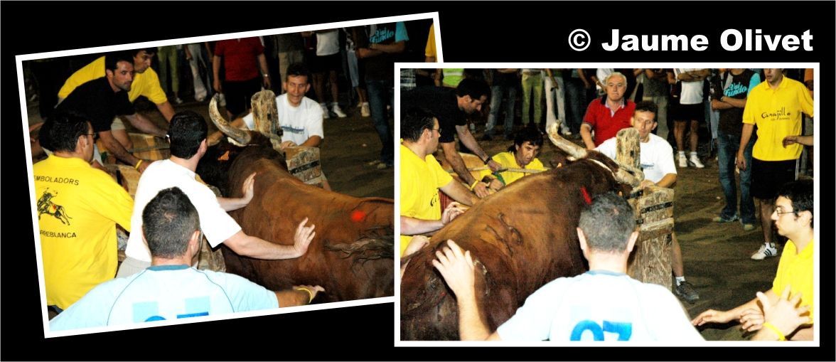 � Jaume Olivet 2005