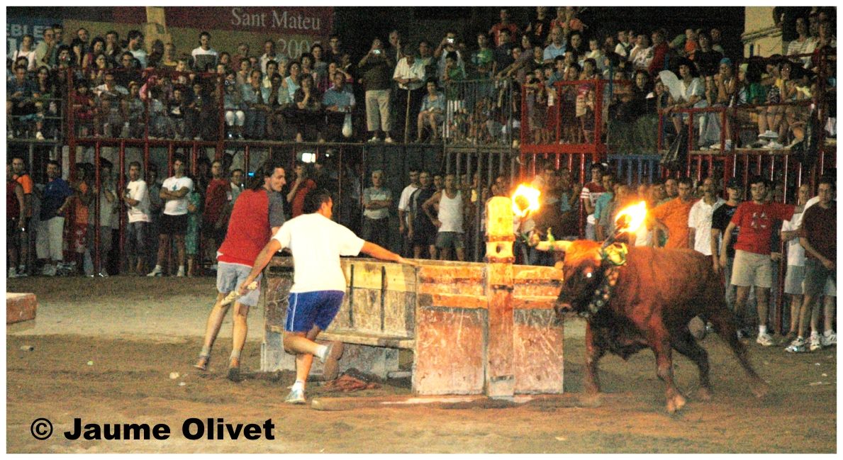 � Jaume Olivet 2005