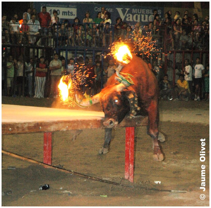 � Jaume Olivet 2005