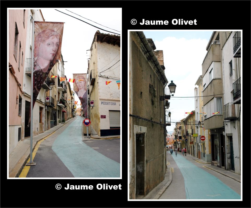 � Jaume Olivet 2005