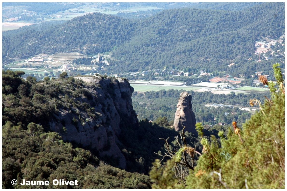 � Jaume Olivet 2005