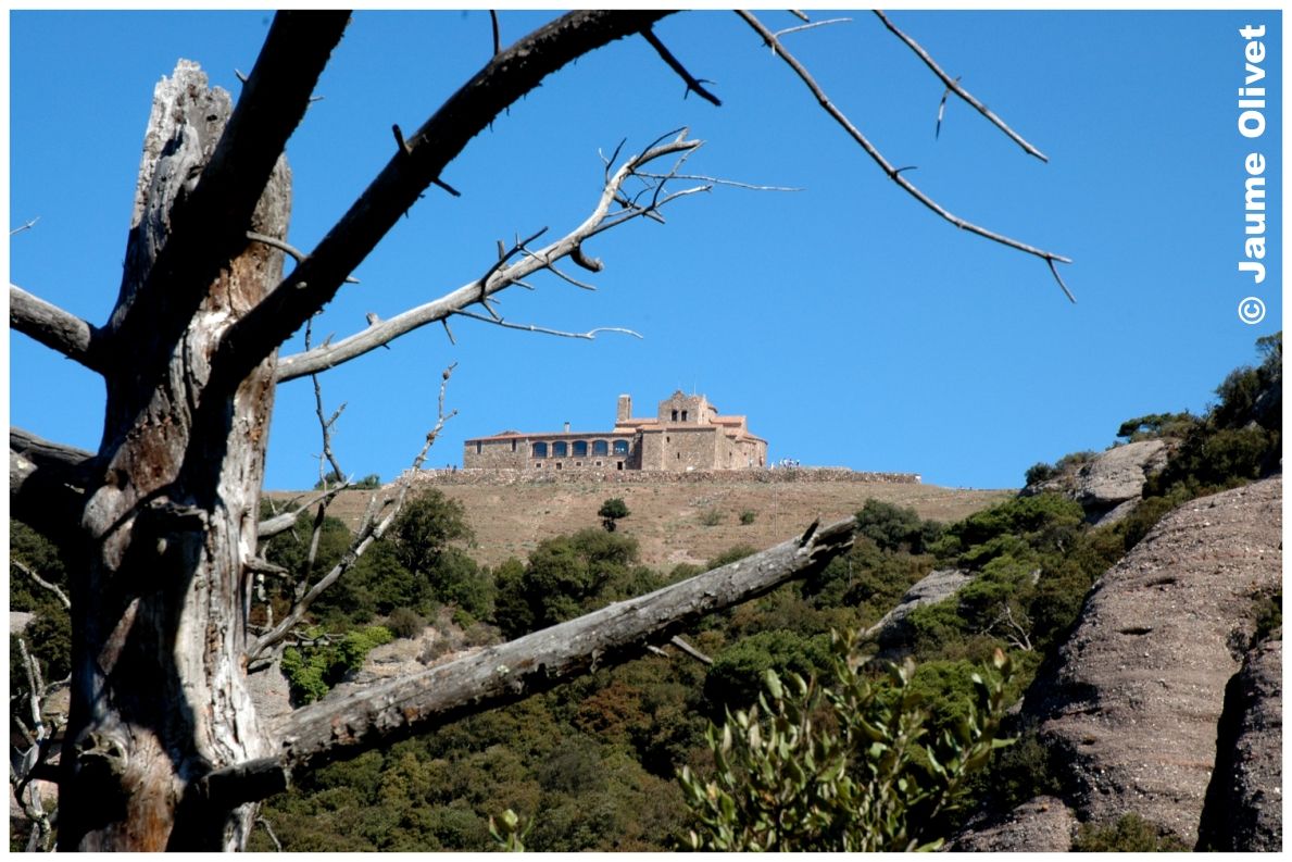 � Jaume Olivet 2005