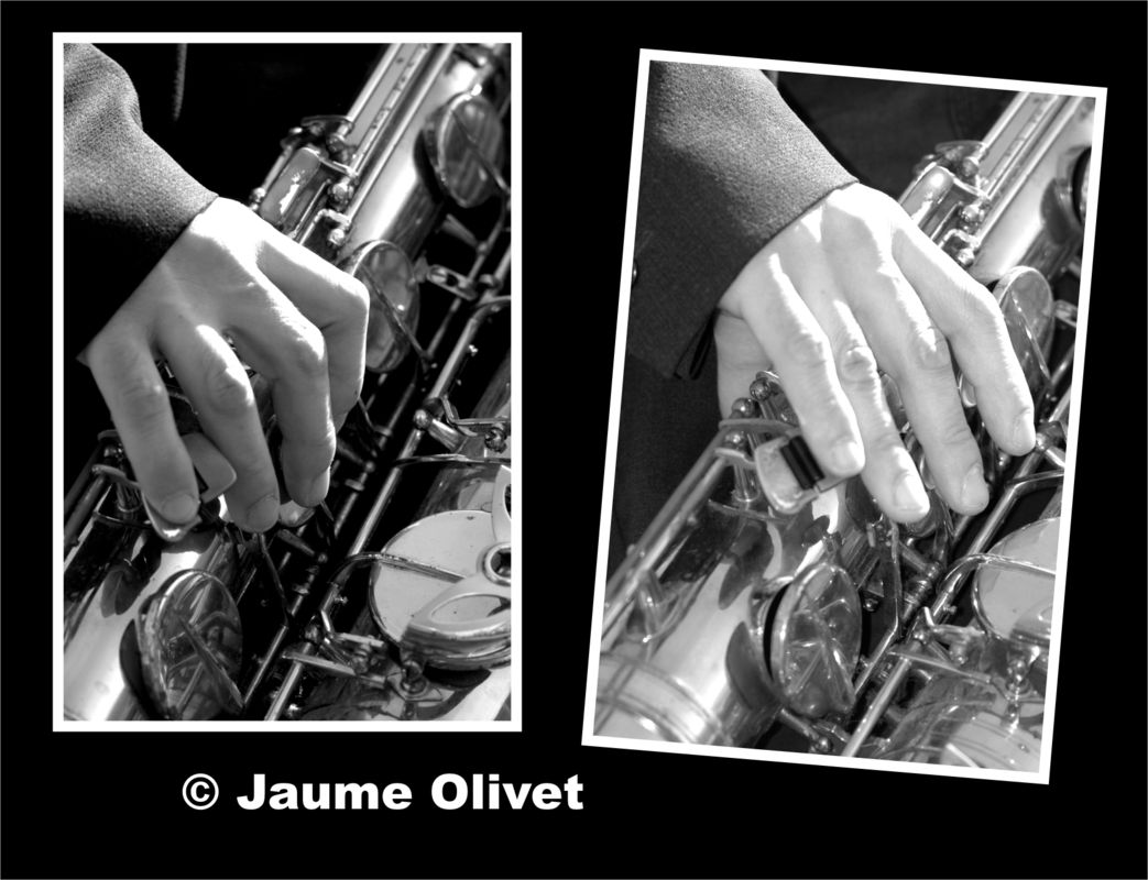 © Jaume Olivet 2006