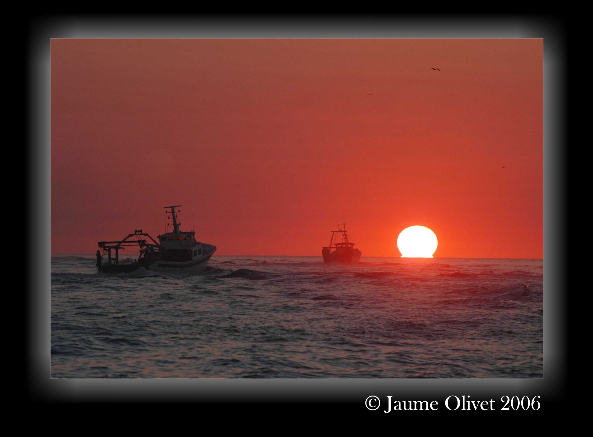 � Jaume Olivet 2006