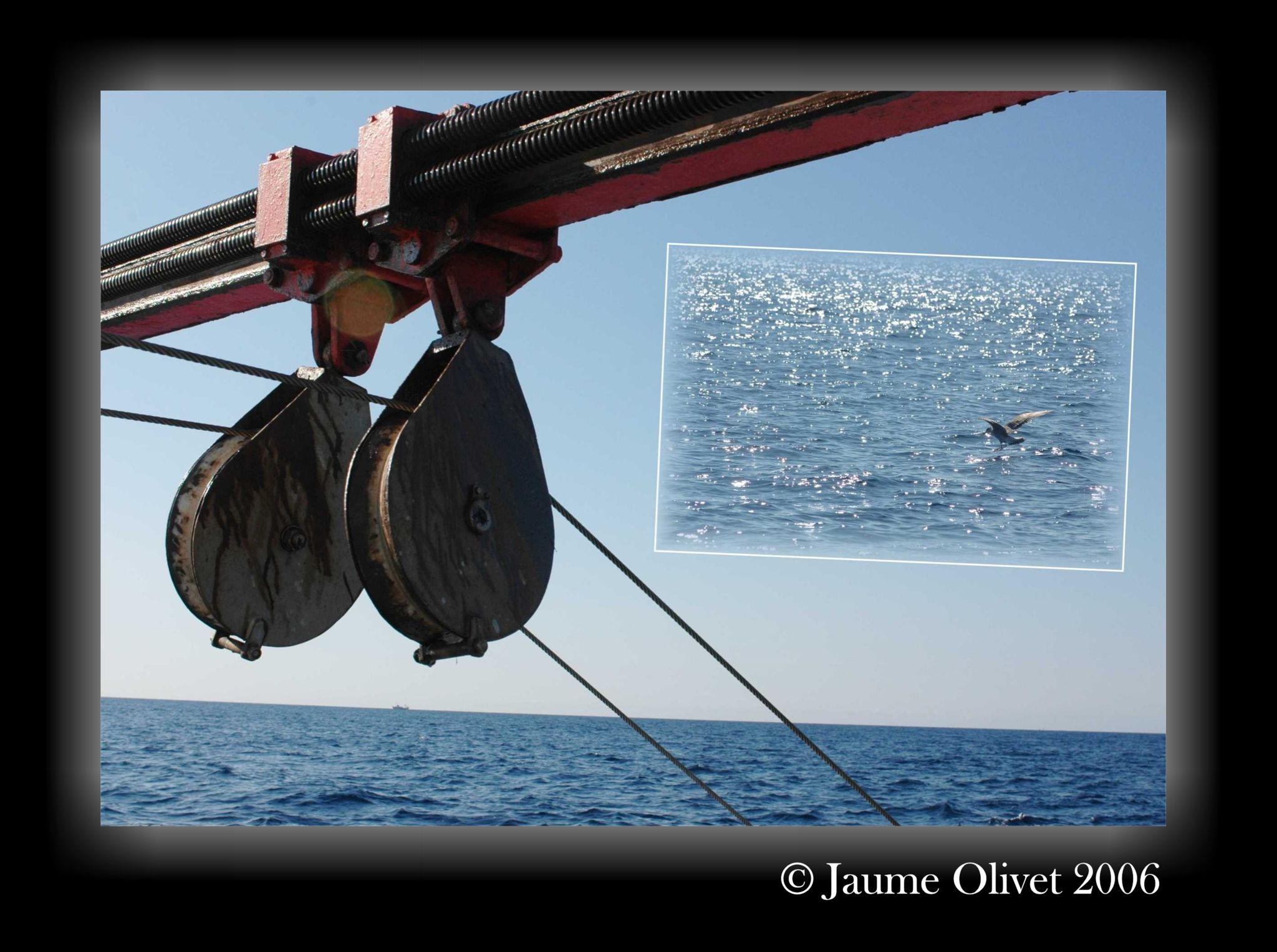 � Jaume Olivet 2006