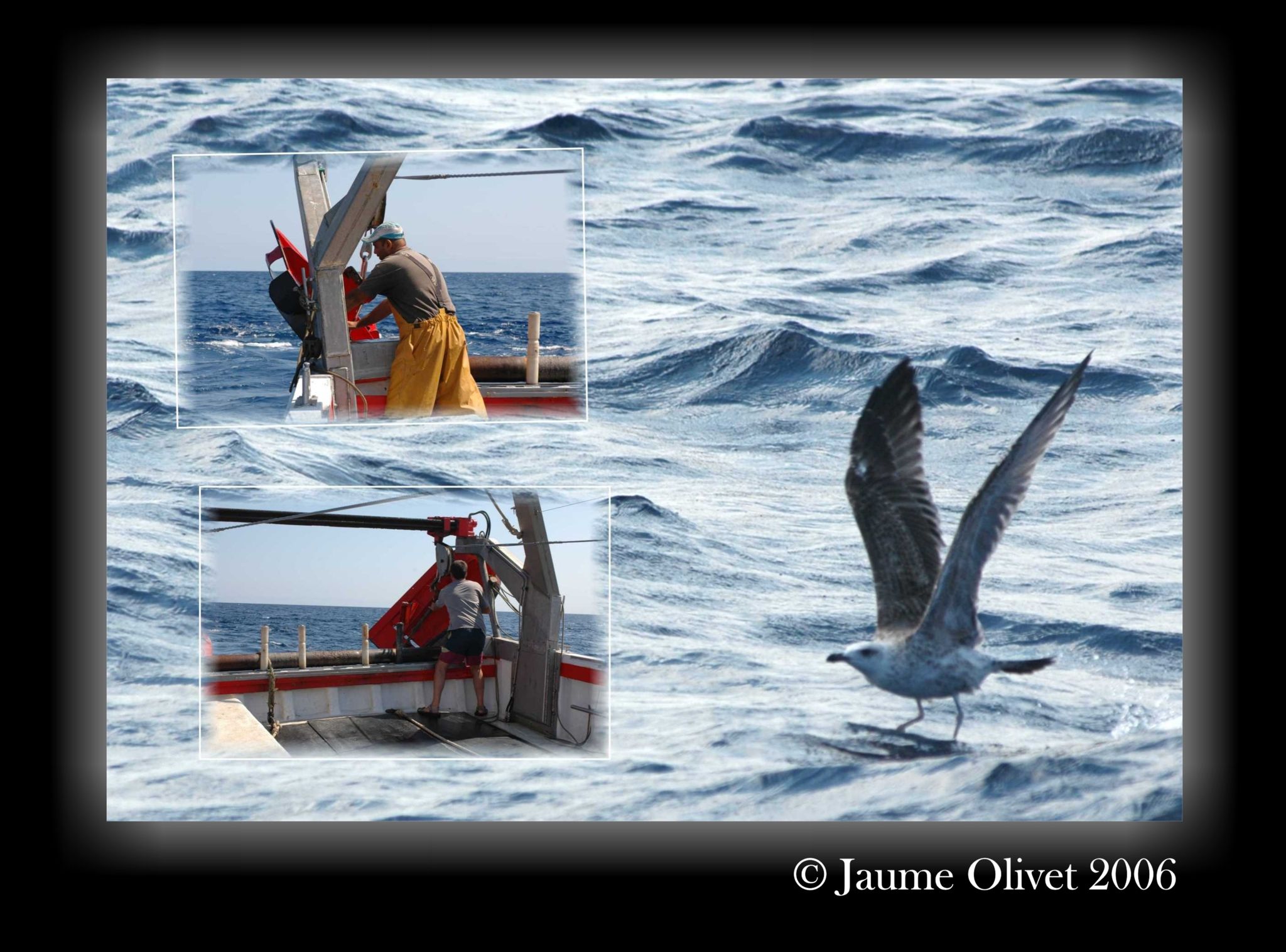 � Jaume Olivet 2006