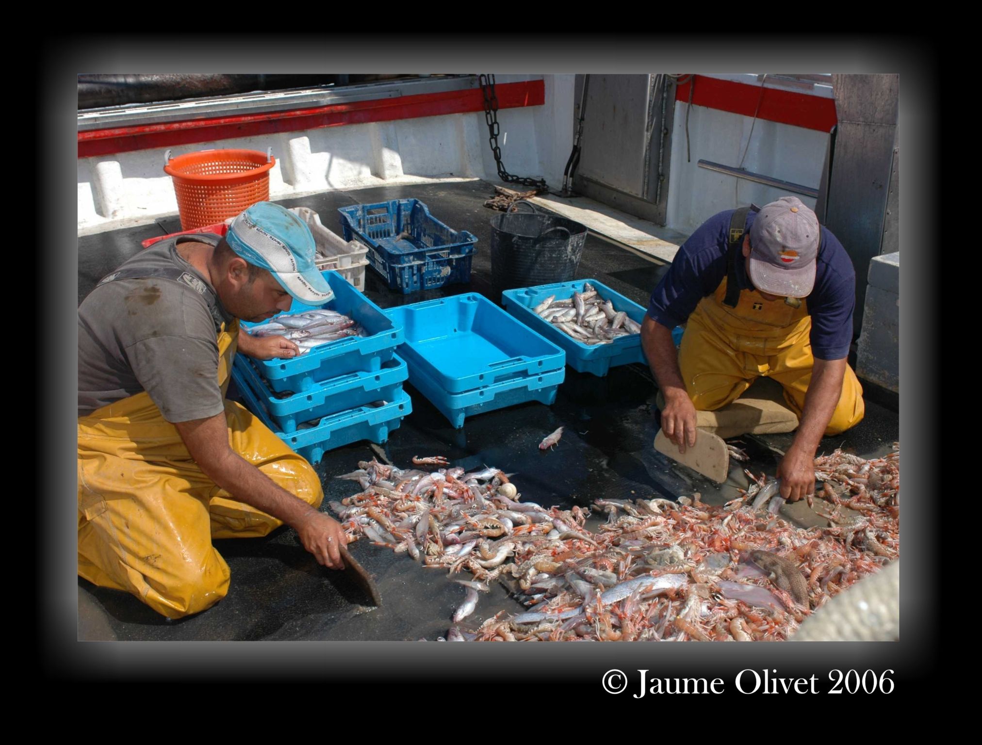 � Jaume Olivet 2006