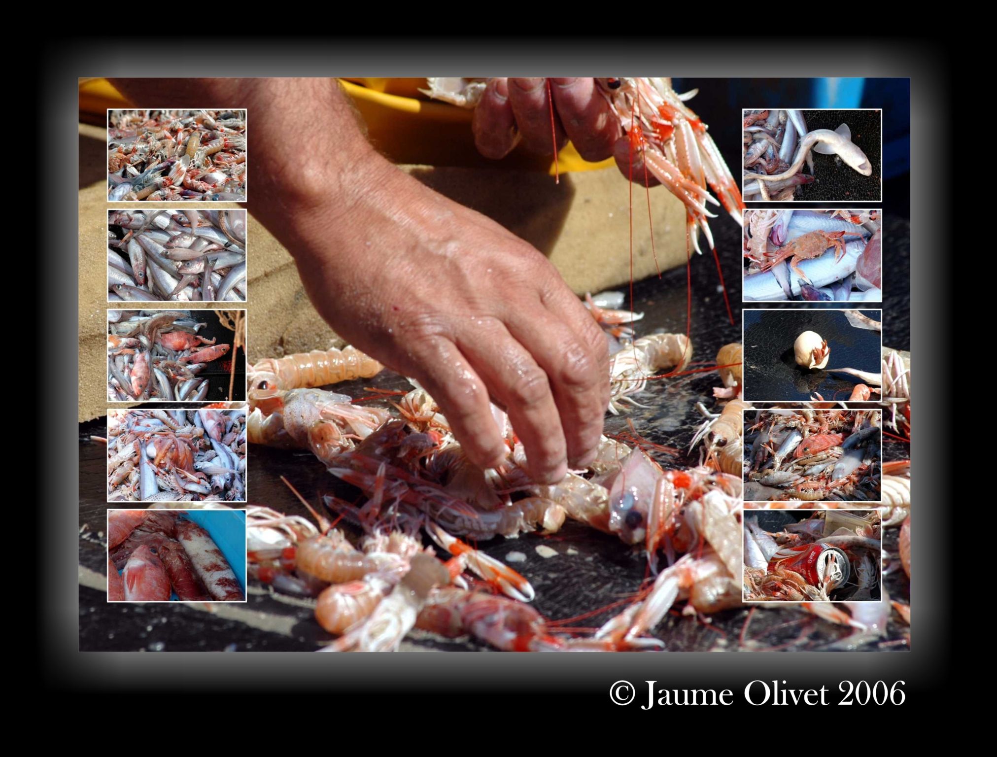 � Jaume Olivet 2006