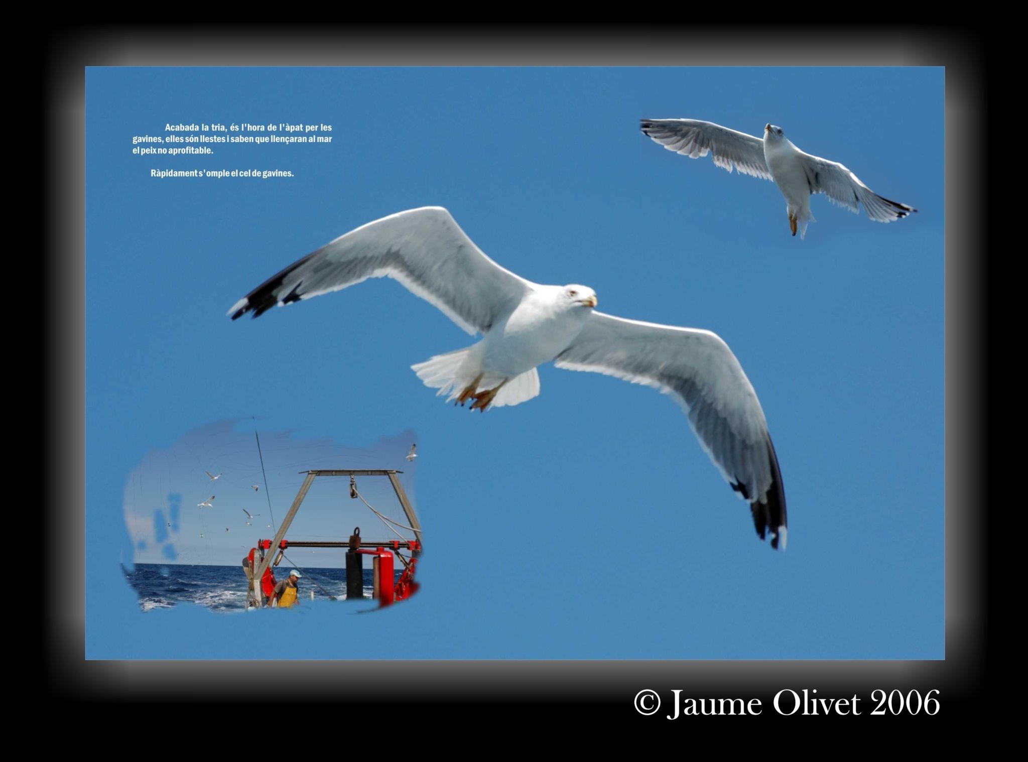 � Jaume Olivet 2006