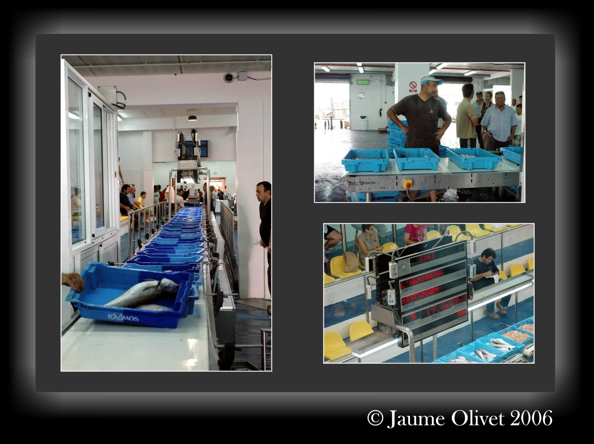 � Jaume Olivet 2006