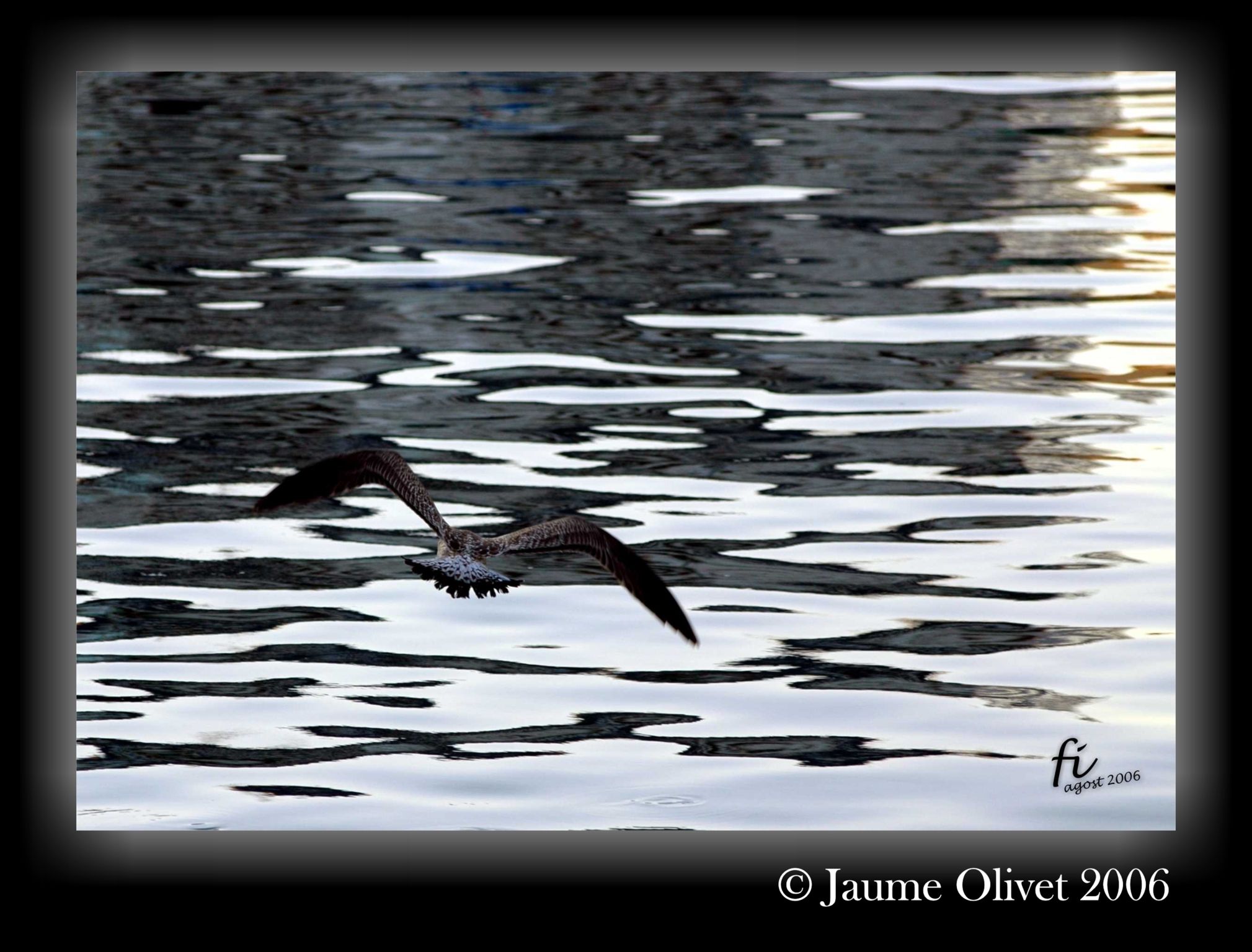 � Jaume Olivet 2006