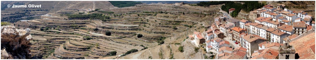 � Jaume Olivet 2006