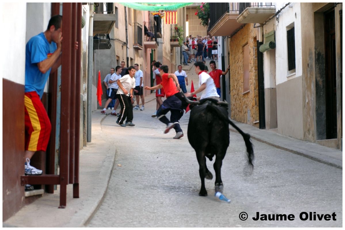 � Jaume Olivet 2006