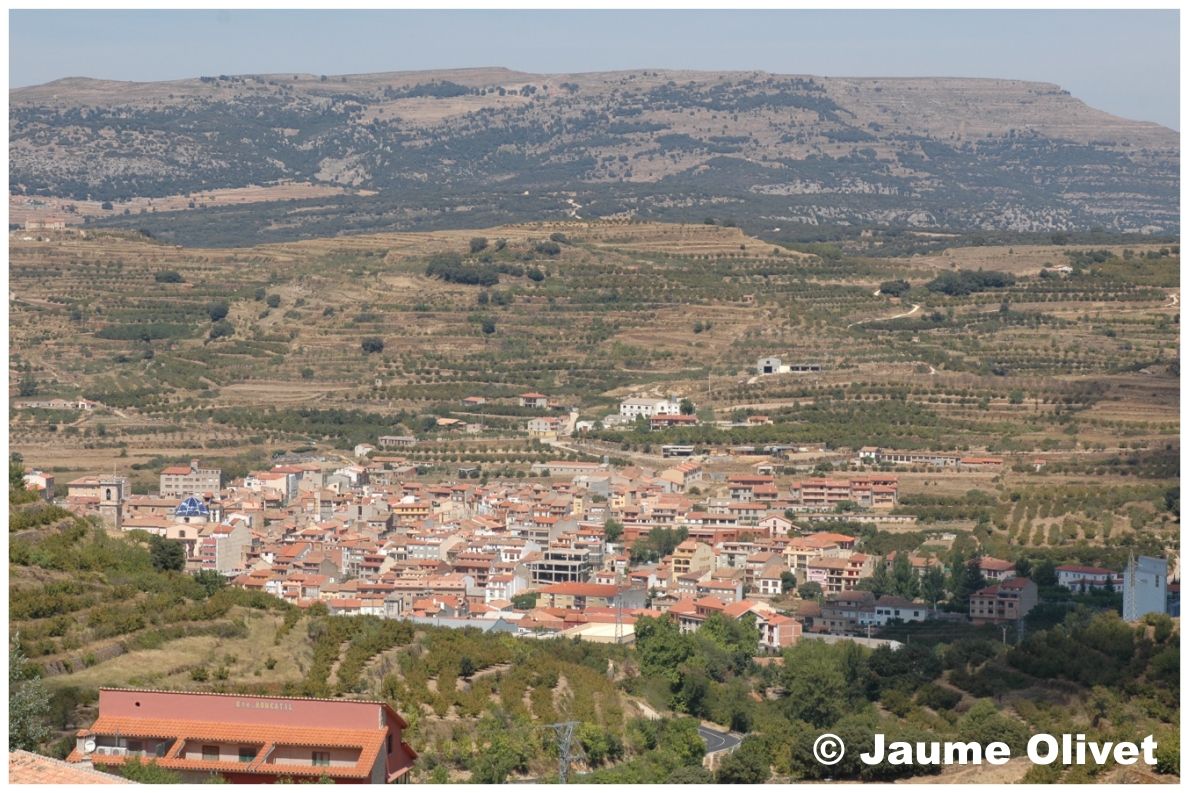 � Jaume Olivet 2006