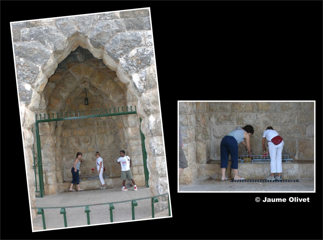 � Jaume Olivet 2006