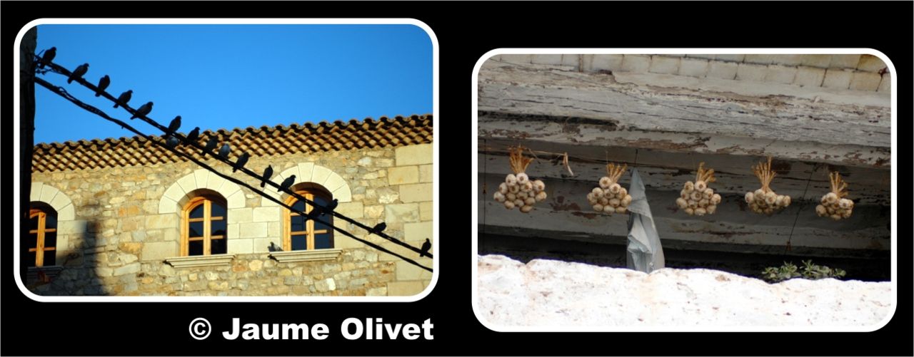 � Jaume Olivet 2006