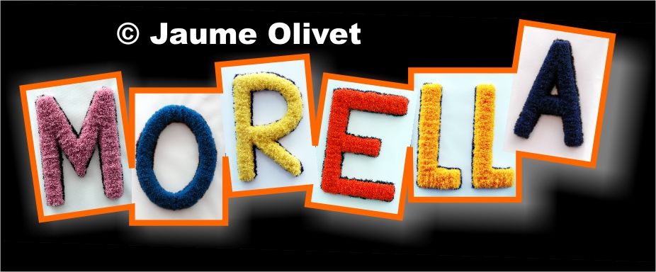 � Jaume Olivet 2006