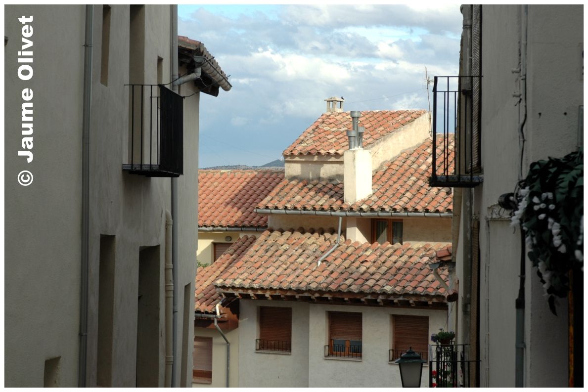 � Jaume Olivet 2006