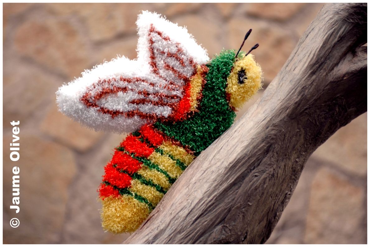 � Jaume Olivet 2006