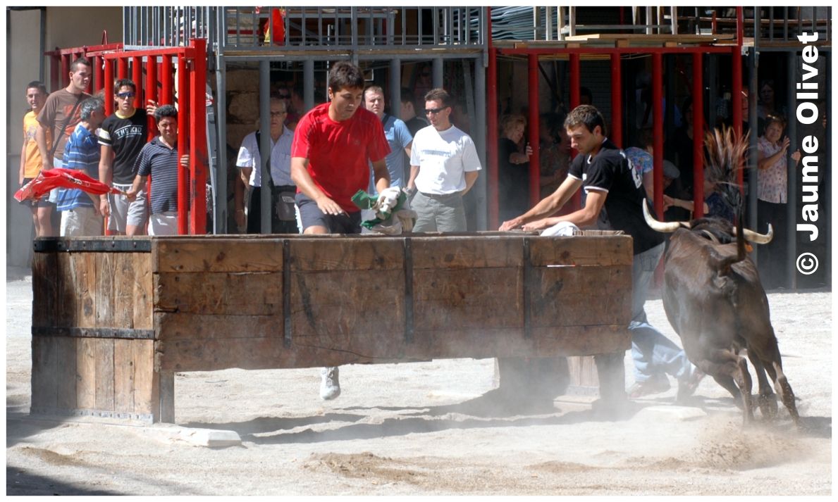 � Jaume Olivet 2006