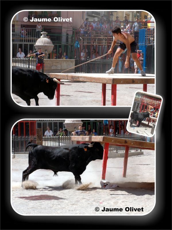 � Jaume Olivet 2006