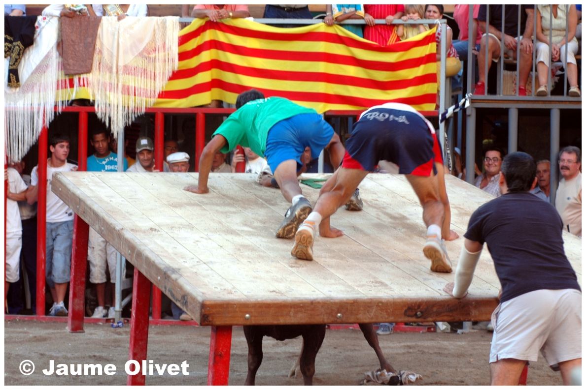 � Jaume Olivet 2006