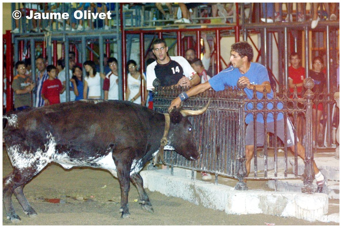 � Jaume Olivet 2006