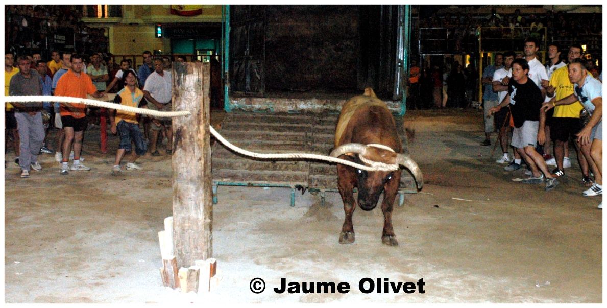 � Jaume Olivet 2006