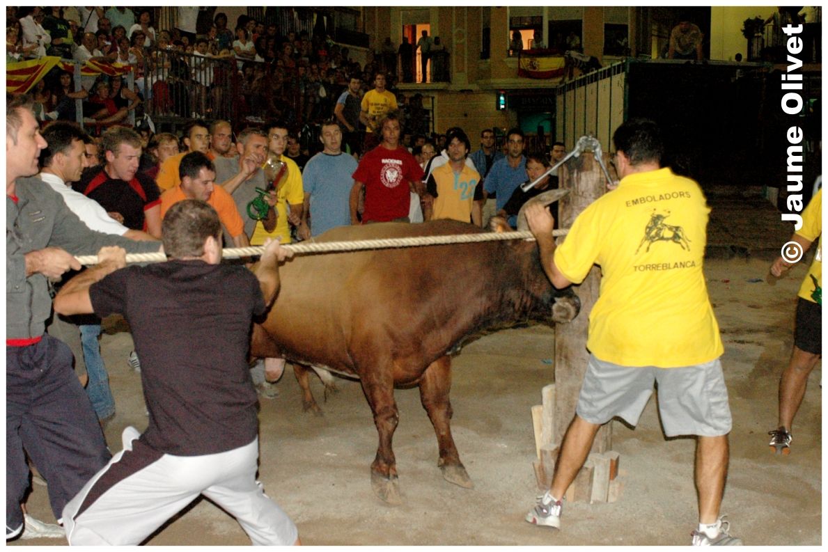 � Jaume Olivet 2006