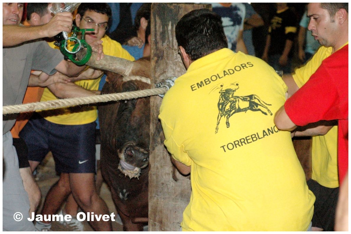 � Jaume Olivet 2006