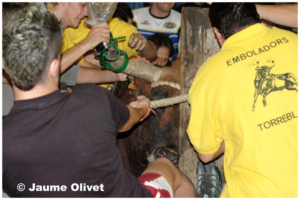 � Jaume Olivet 2006