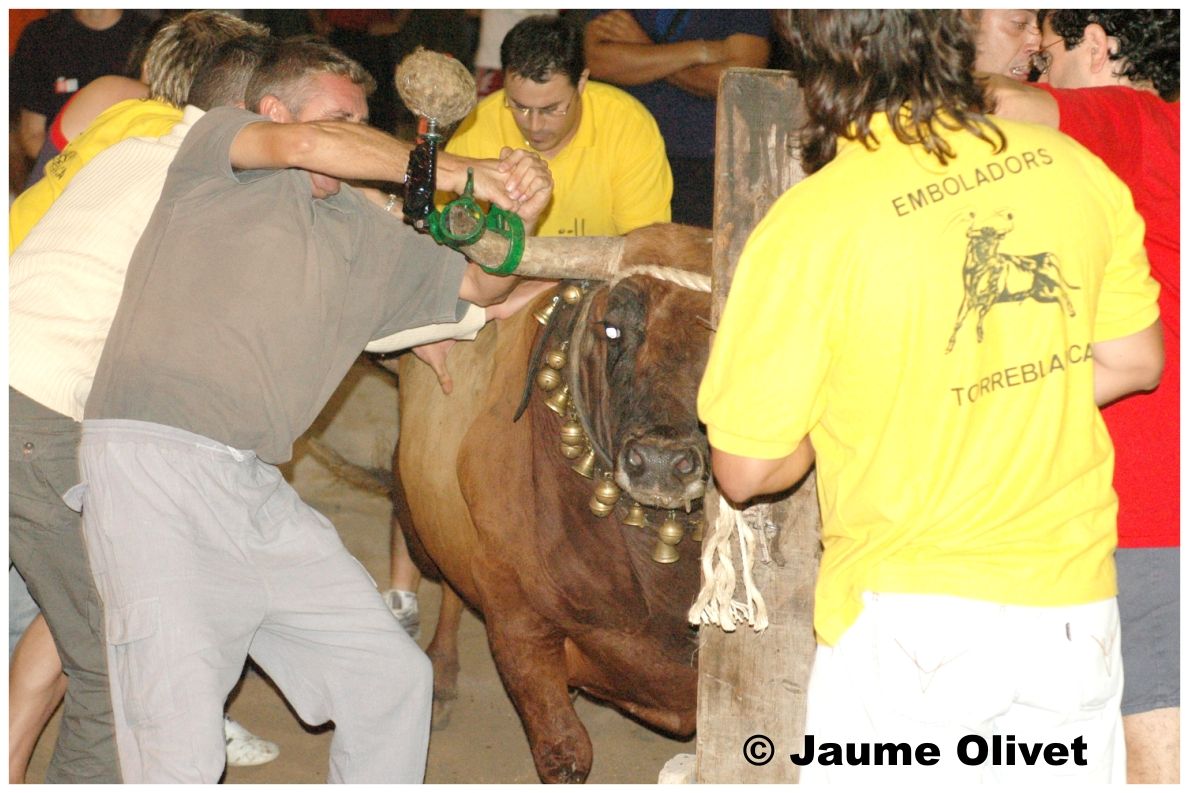 � Jaume Olivet 2006