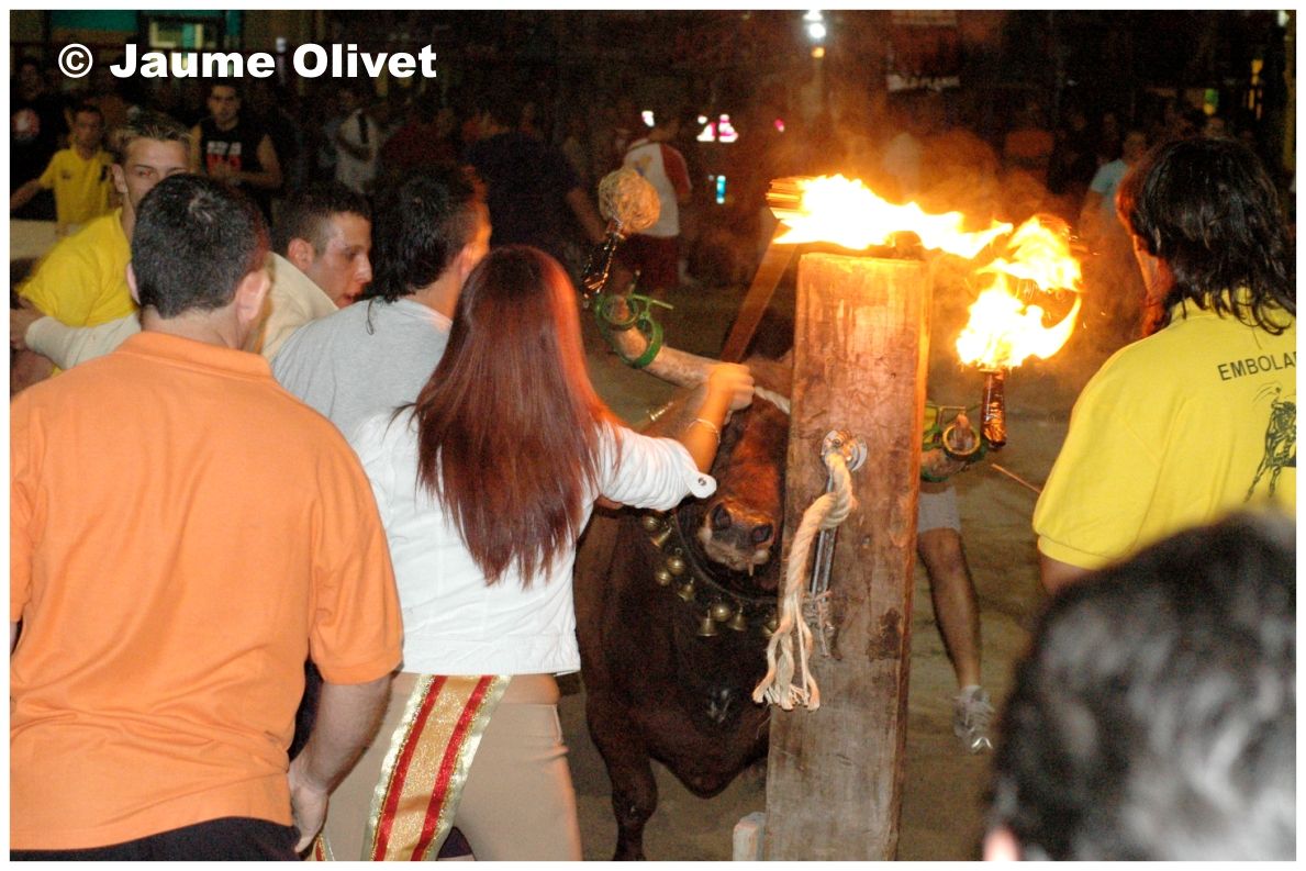 � Jaume Olivet 2006