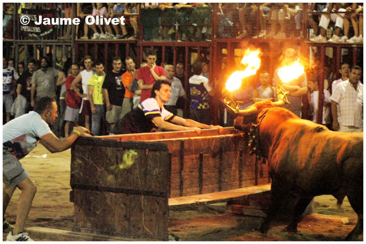 � Jaume Olivet 2006