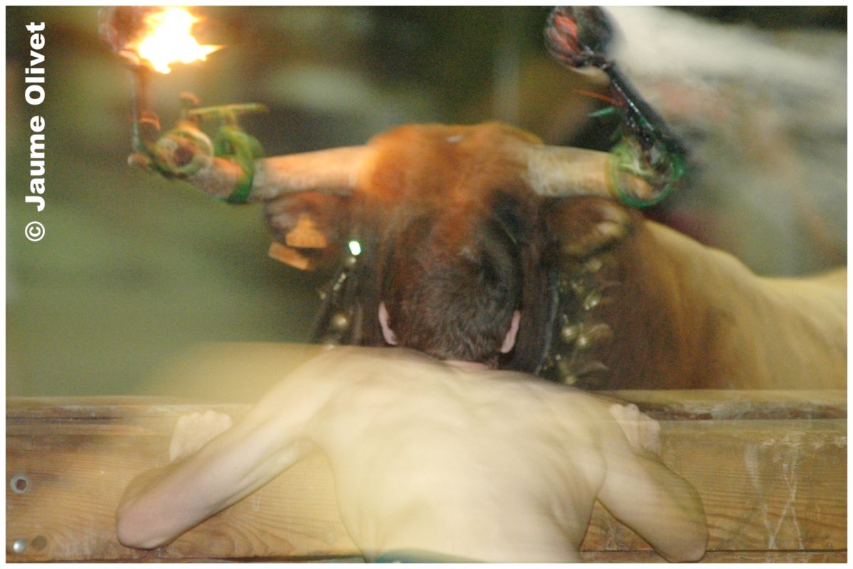 � Jaume Olivet 2006