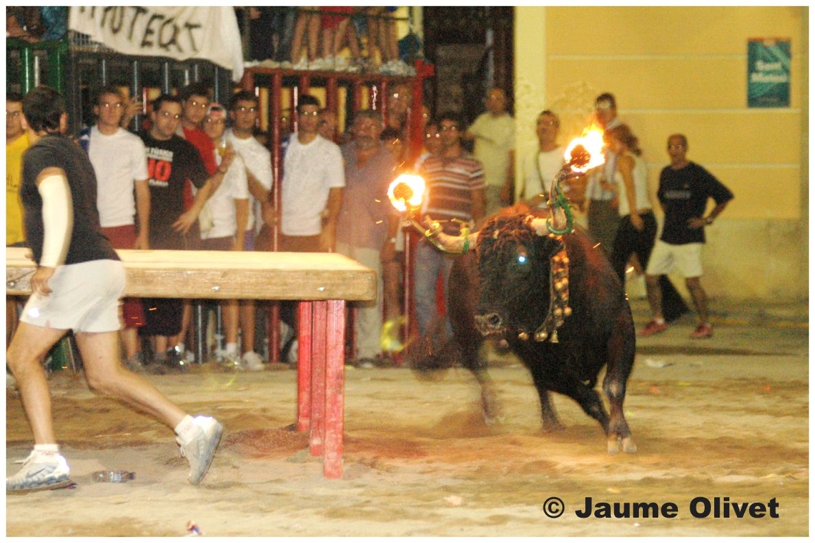 � Jaume Olivet 2006