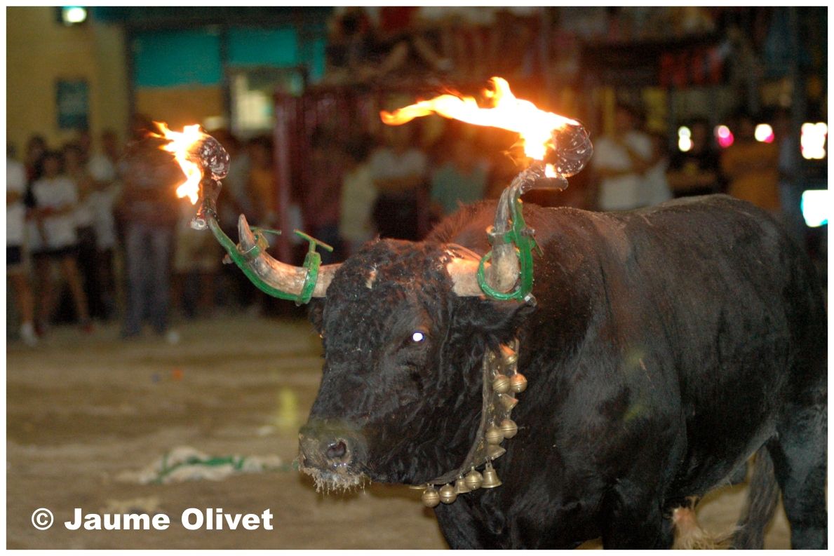 � Jaume Olivet 2006