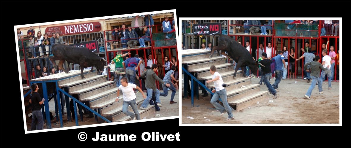 � Jaume Olivet 2006