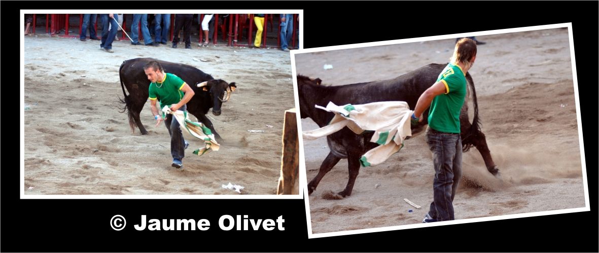 � Jaume Olivet 2006