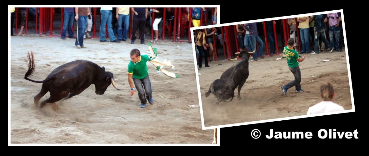 � Jaume Olivet 2006