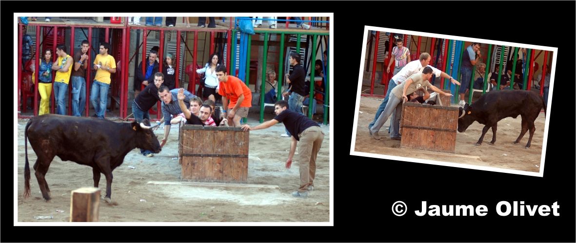 � Jaume Olivet 2006